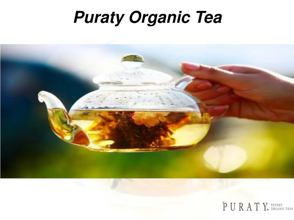 puraty organic tea