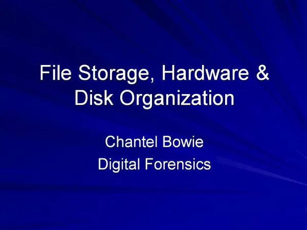 File Storage, Hardware Disk Organization