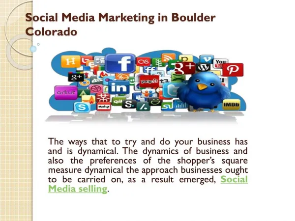 Search Engine Optimization Boulder Colorado