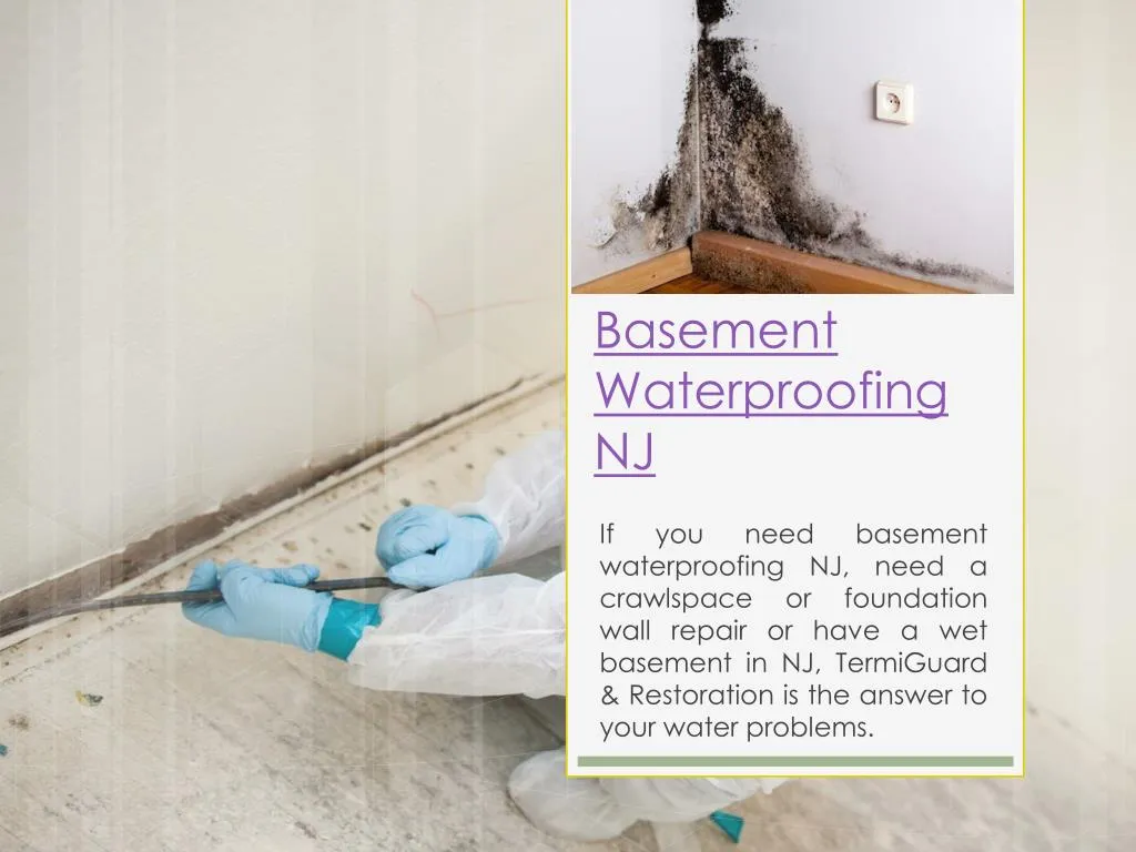 basement waterproofing nj