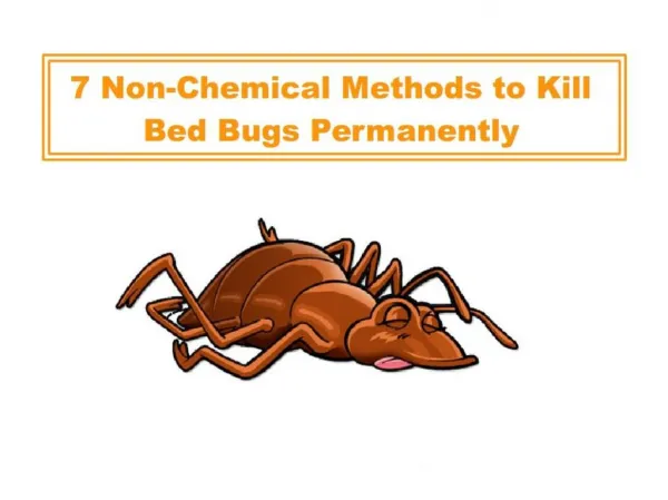 7 Non-Chemical Methods to Kill Bed Bugs Permanently