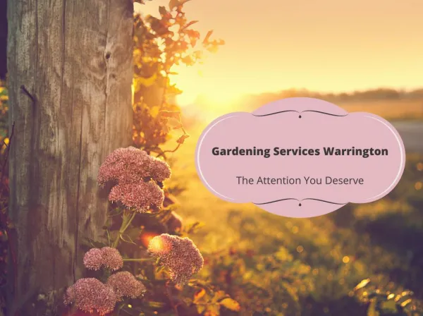Gardening Services Warrington | 01925 698 036