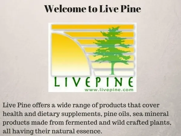 Discover The Power Of Pine