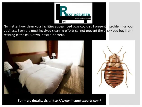 Bed Bug Extermination Service Baltimore