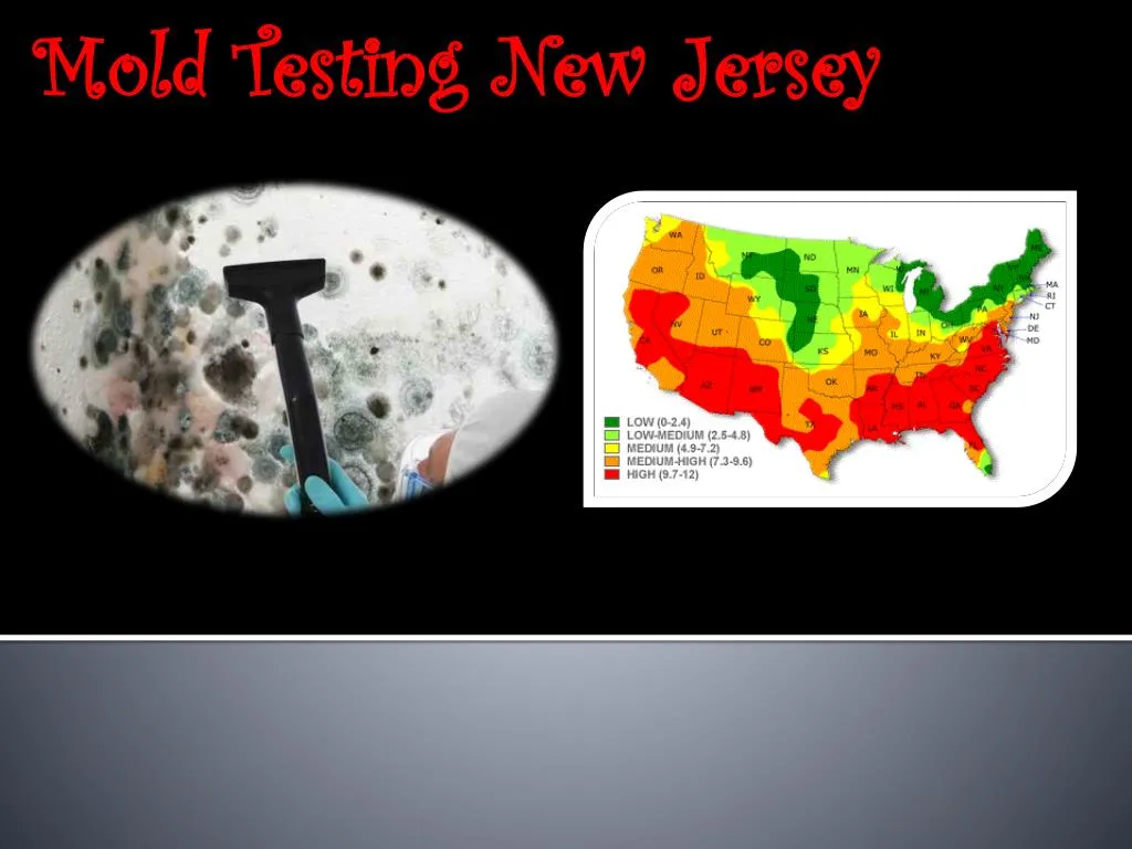 mold testing new jersey