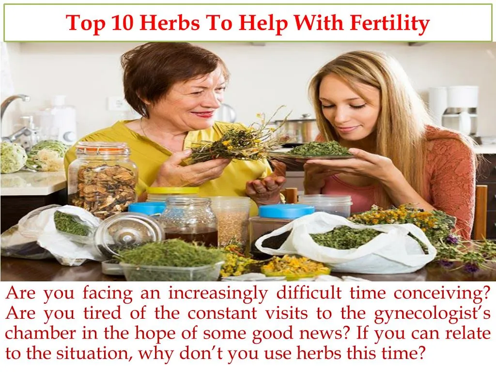 top 10 herbs to help with fertility