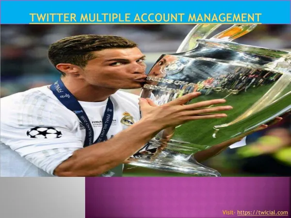 Twitter multiple account management