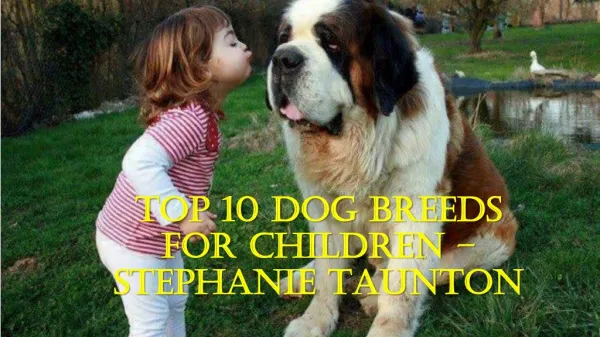 Top 10 Dog Breeds For Children – Stephanie Taunton