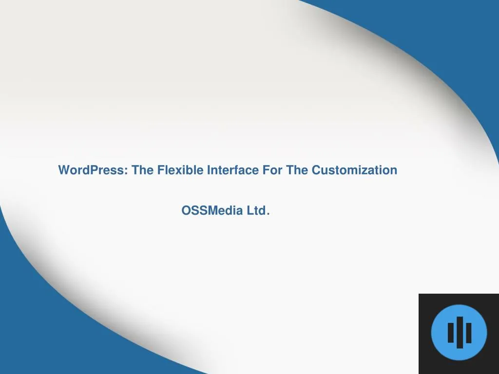 wordpress the flexible interface for the customization