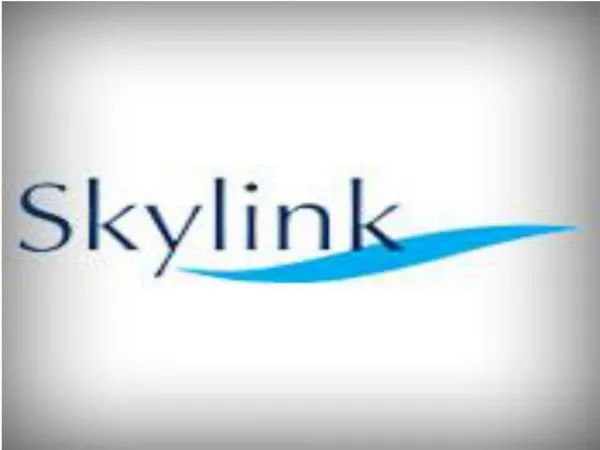 Best Travel Agency In London | Skylinkworld