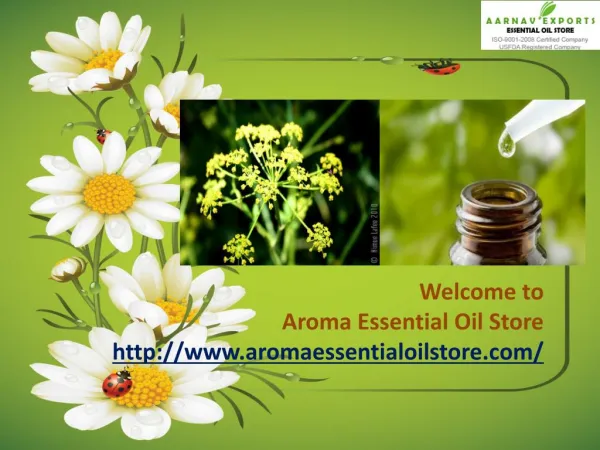 Natural Flower Oils at Aroma Essential Oil Store
