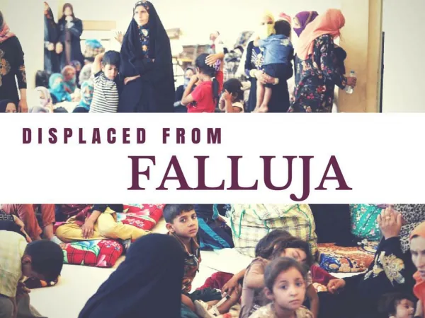 Displaced from Falluja