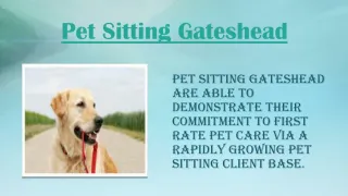 Pet Sitting Gateshead