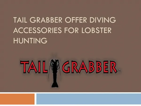 Tail Grabber offer Diving Accessories for Lobster Hunting