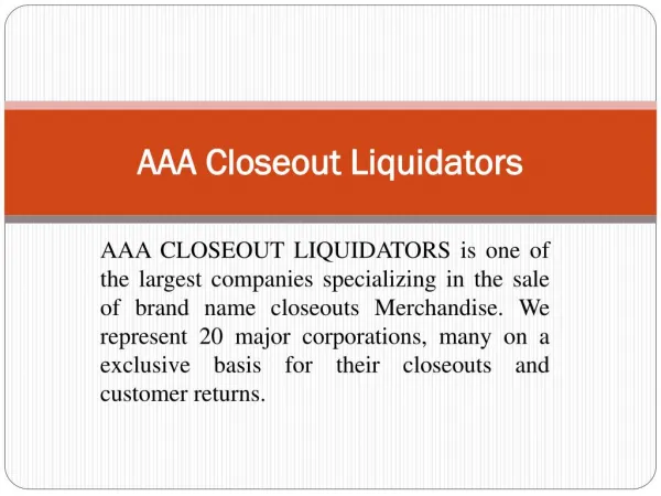 AAA Closeout Liquidators|Closeout buyer|Overstock Buyers|Toys closeouts