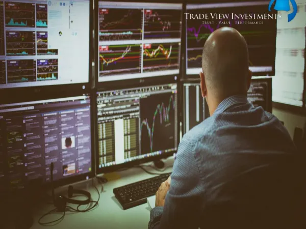 Become Professional in Online Share Trading with Trade View Investments