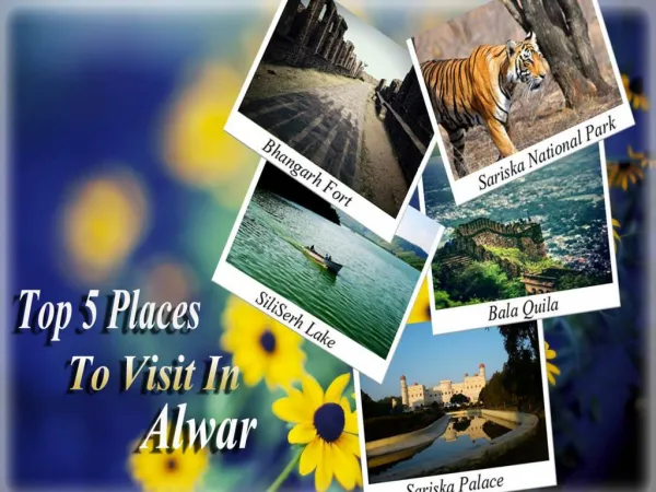 Top 5 Places To Visit In Alwar: Myalwar.com