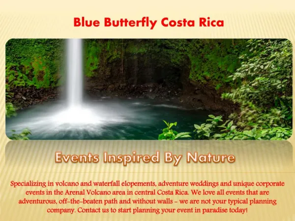 Plan your vacations and occasion with Blue butterfly Costa Rica