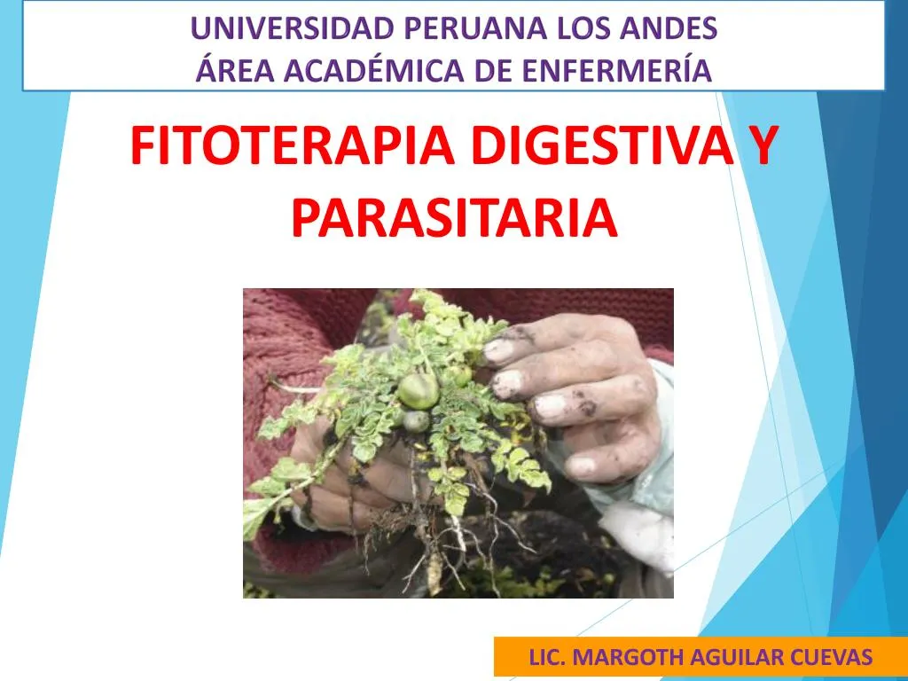 fitoterapia digestiva y parasitaria