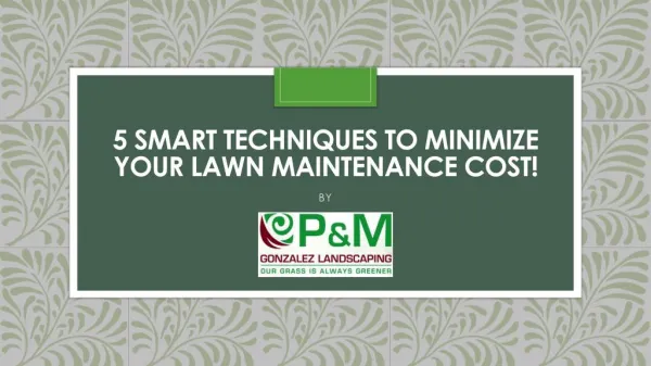 5 Smart Techniques to Minimize your Lawn Maintenance