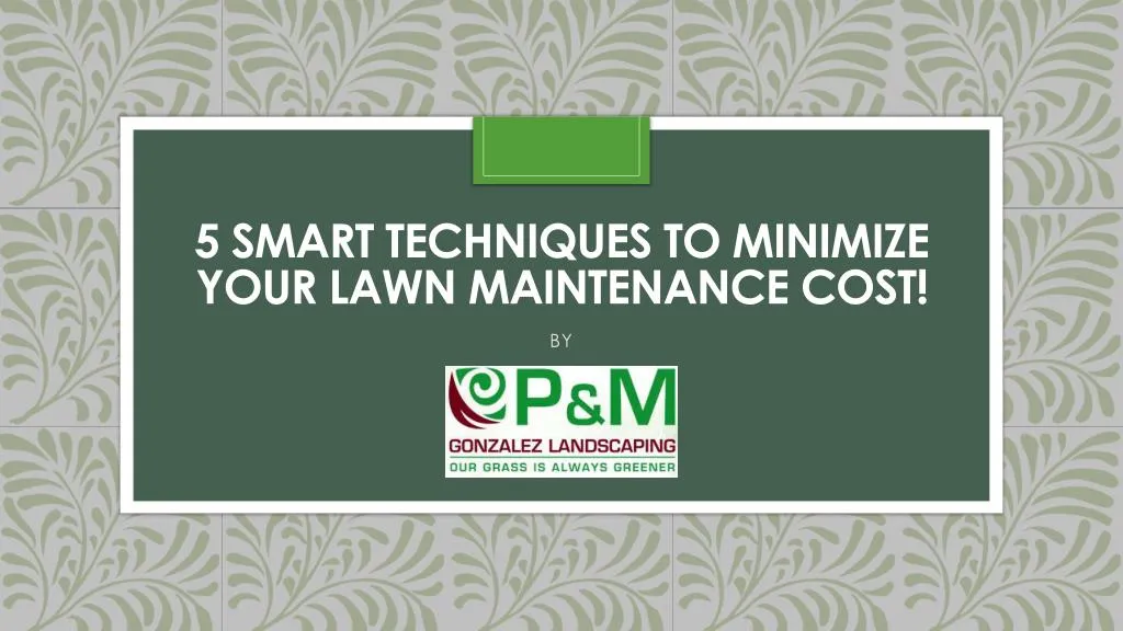 5 smart techniques to minimize your lawn maintenance cost