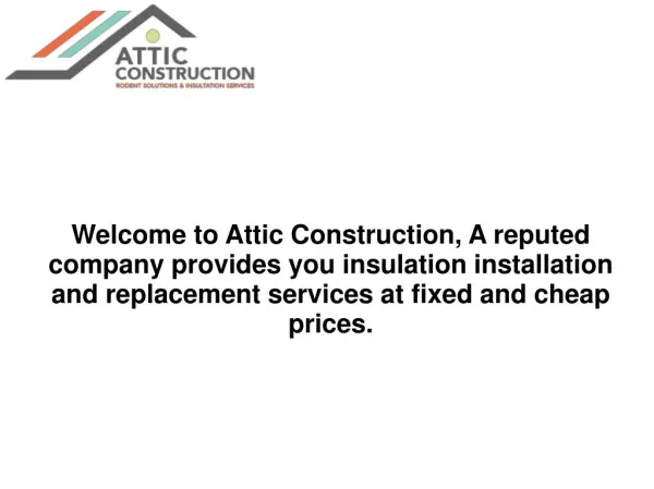 Attic cleaning and repair services