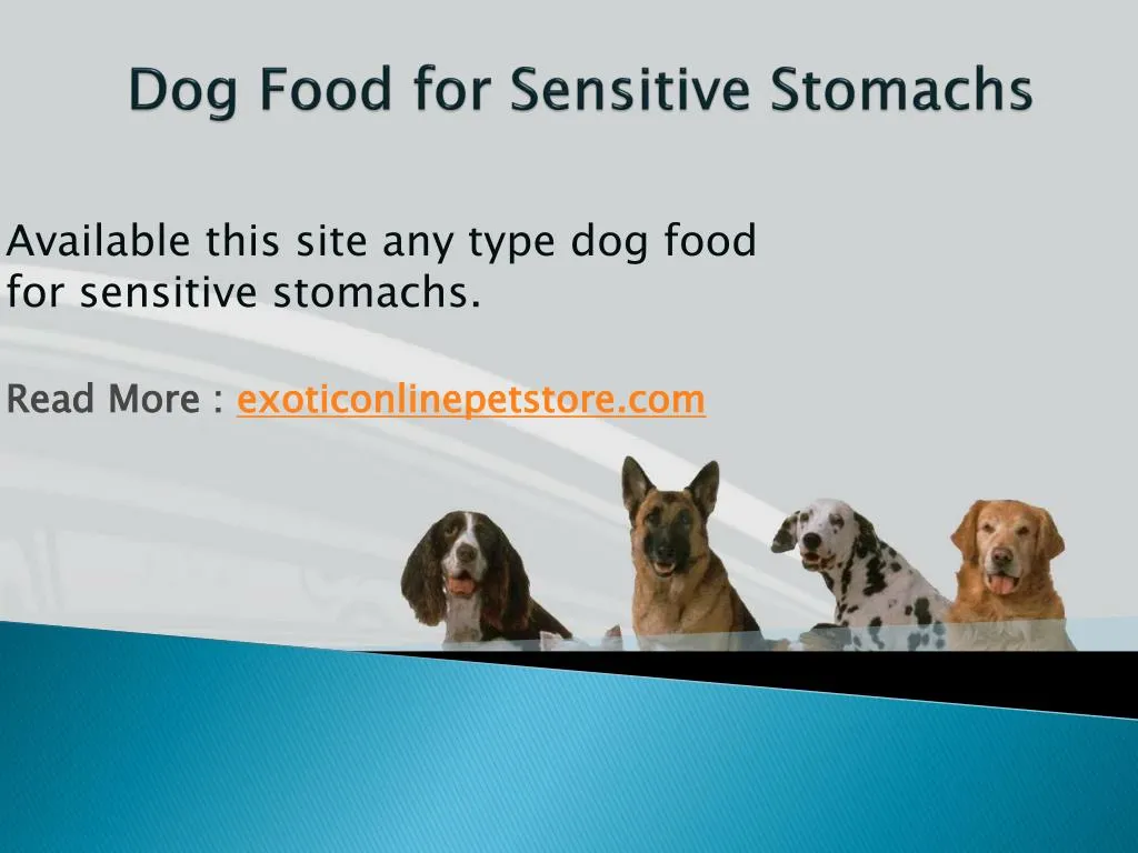 dog food for sensitive stomachs