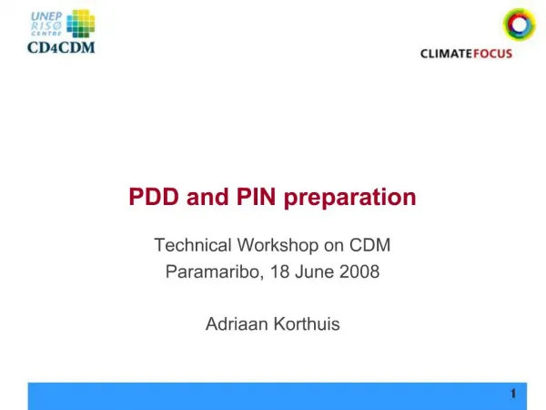 PDD and PIN preparation