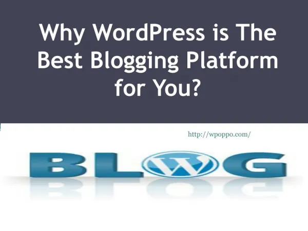 Find Out Here Why WordPress Is Best Blogging Platform?