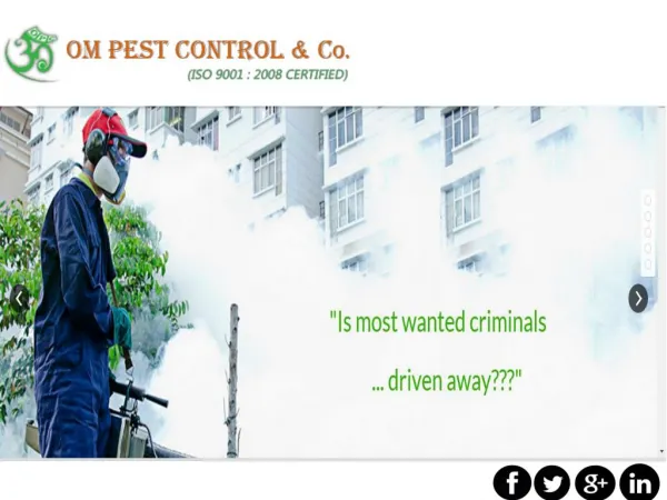 Get professional Pest Control Company in Odisha