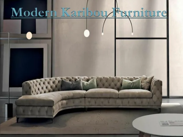 Modern Karibou Furniture