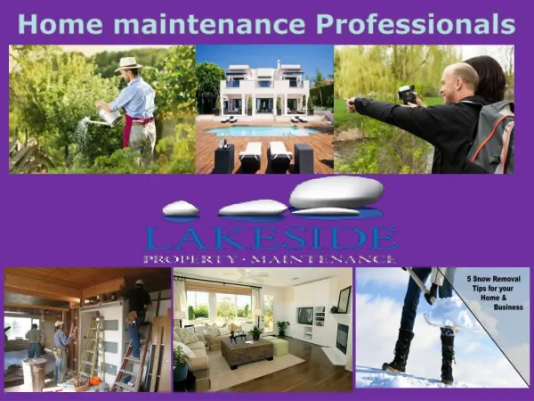 Home care property maintenence professionals tahoe