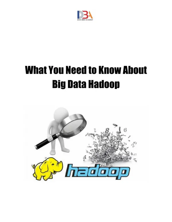 What You Need to Know About Big Data Hadoop
