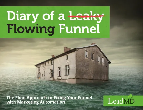 Diary Of A Leaky Flowing Funnel