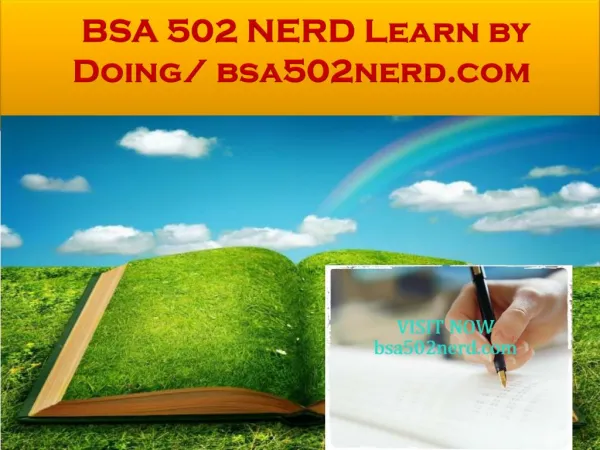 BSA 502 NERD Learn by Doing/ bsa502nerd.com