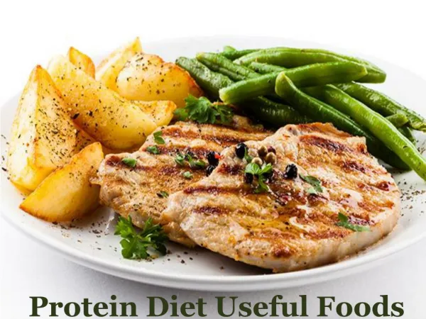 Protein Diet Useful Foods