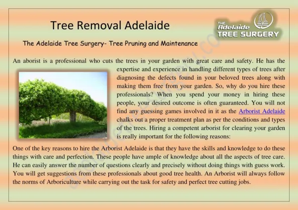 Tree Removal Adelaide  