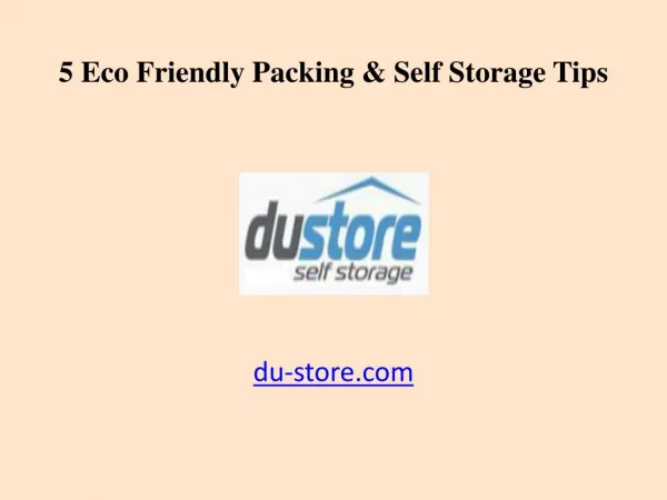 5 Eco Friendly Packing & Dubai Self Storage Tips
