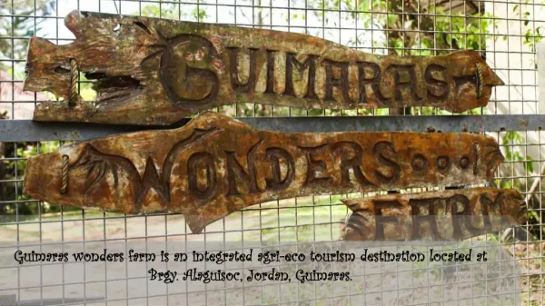 Guimaras Wonders Farm