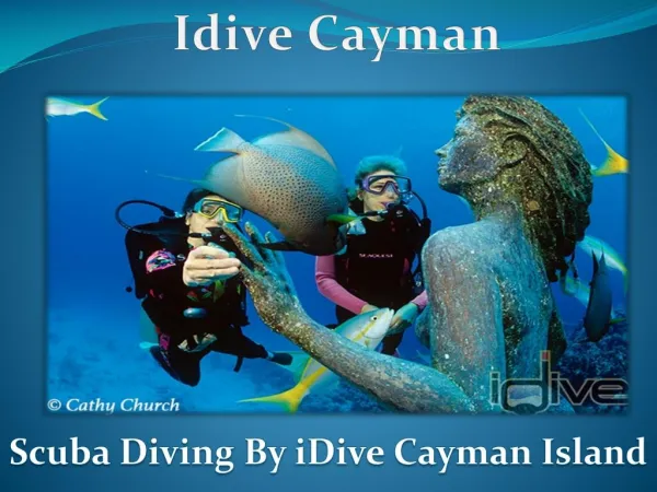 Idive Cayman Snorkeling 