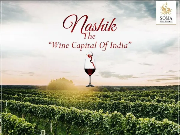 Best Vineyards & Resorts in Nashik
