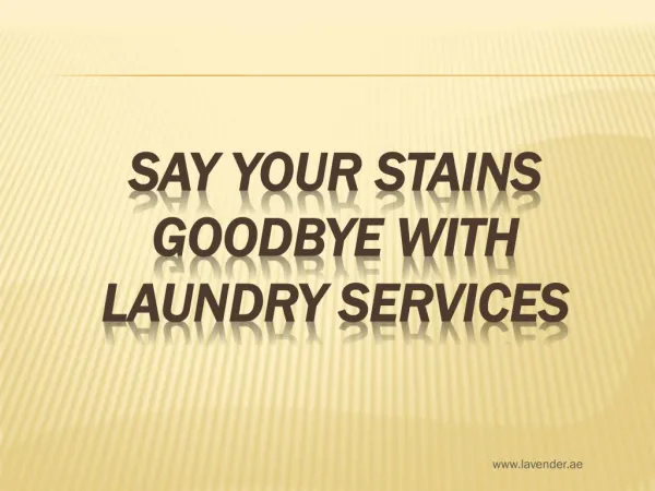 Say Your Stains Goodbye with Laundry Services