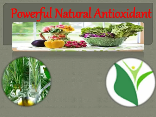 Powerful Natural Antioxidant