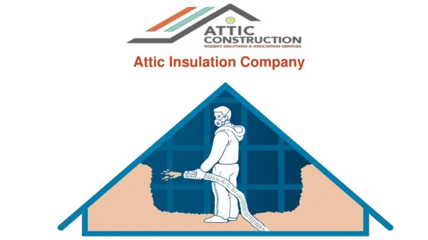 Importance of attic cleaning services
