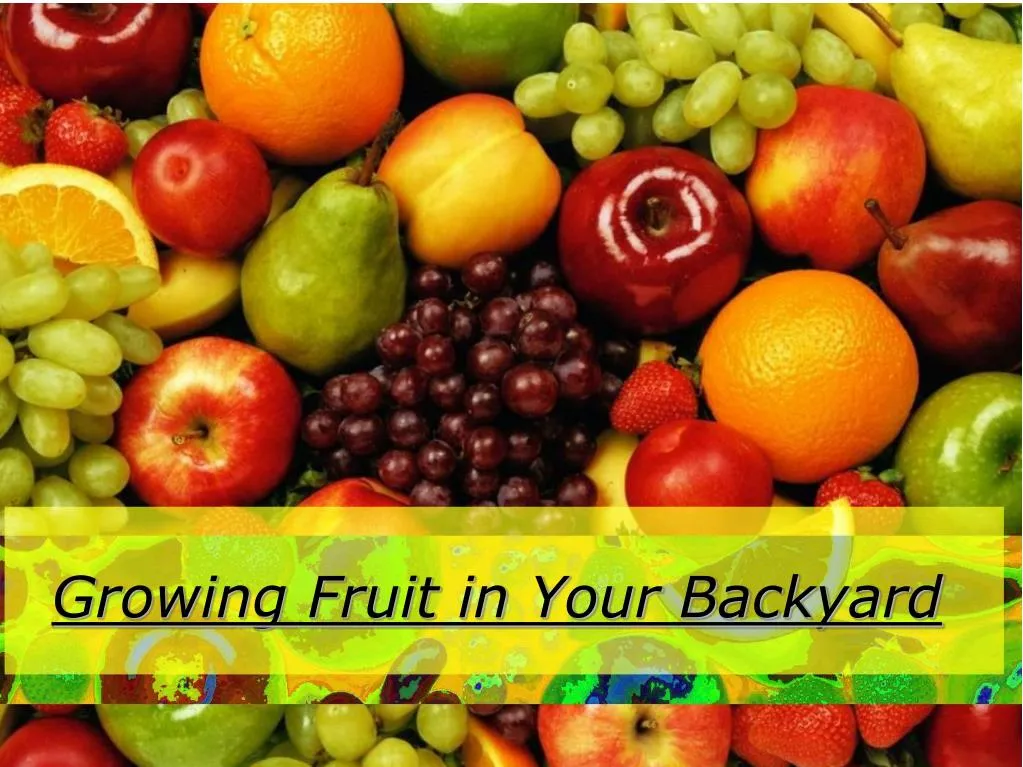 growing fruit in your backyard
