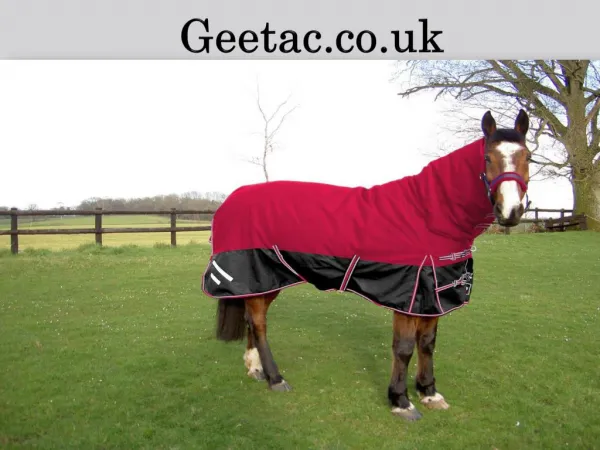 Horseware Fly Rugs