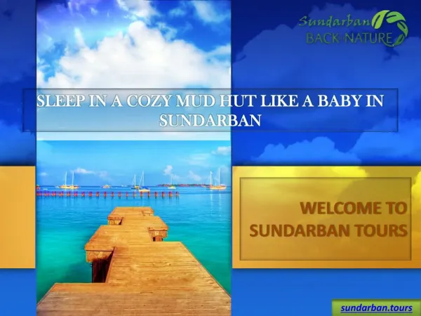 Sundarban Tour, Affordable Sundarban Tour Package