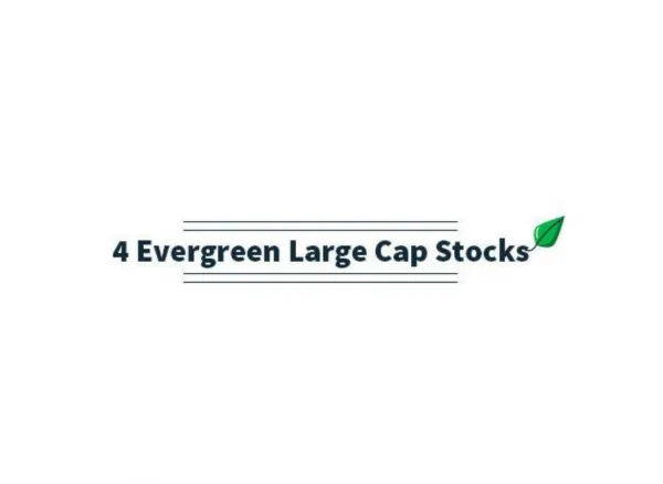 4 EVERGREN LARGE CAP STOCK FOR WEALTH CREATION