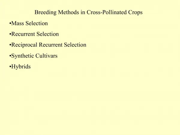 Breeding Methods in Cross-Pollinated Crops Mass Selection Recurrent Selection Reciprocal Recurrent Selection Synthet