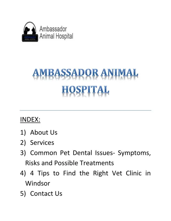 Get Professional vet services in Ambassador Animal Hospital Windsor